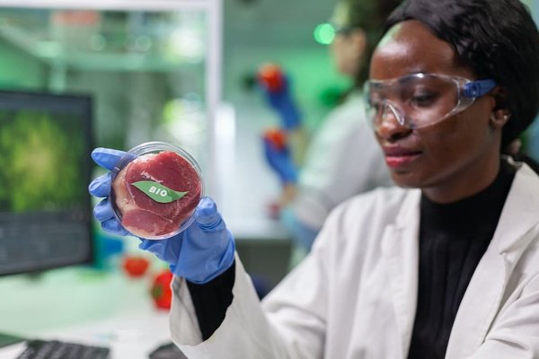 les ustensiles pour des plats sans viande ni poisson délicieux